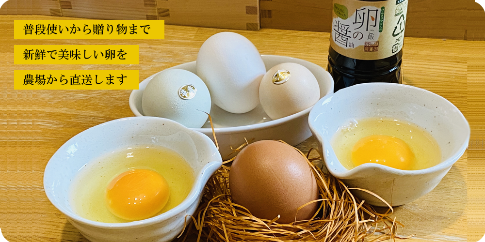 卵 鶏卵 卵かけご飯 普段使い新鮮卵80個入（特撰吟味夕映卵）