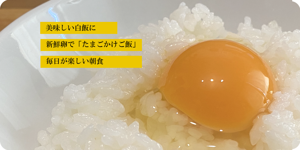 筑前飯塚宿たまご処 卵の庄本店 筑前飯塚宿たまご処 卵の庄本店