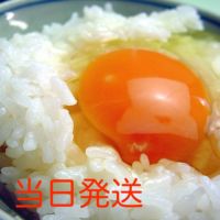 たまご🐣 (@1_ckk3) / X
